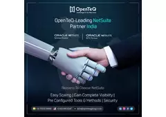 Discover NetSuite Consulting Services with OpenTeQ