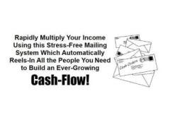 FRANCHISE TYPE INCOME