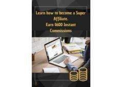 How To Earn $300 A Day Using A Smartphone?/You can earn $100-$300 per day simply by posting ads