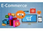 Dominate Ecommerce with Expert Marketing Solutions from SEO Spidy in India