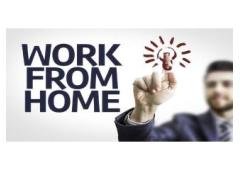 Several Work from Home Opportunities Here!